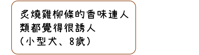 炙燒雞柳條的香味連人類都覺得很誘人（小型犬、8歲）
