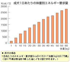 知る 調べる 食 ドッグフード 九州ペットフード株式会社